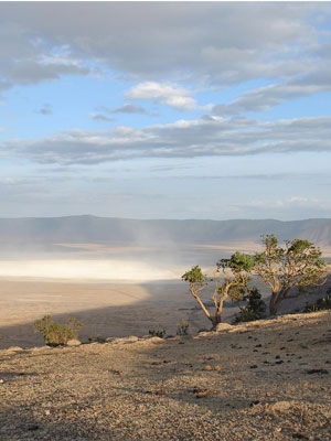 Tanzania